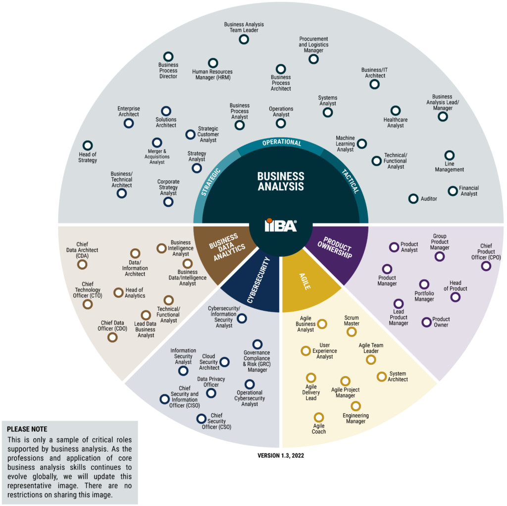 Continuing Evolution of Business Analysis