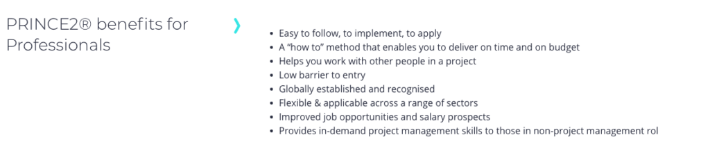 PRINCE2 Benefits for Professionals
