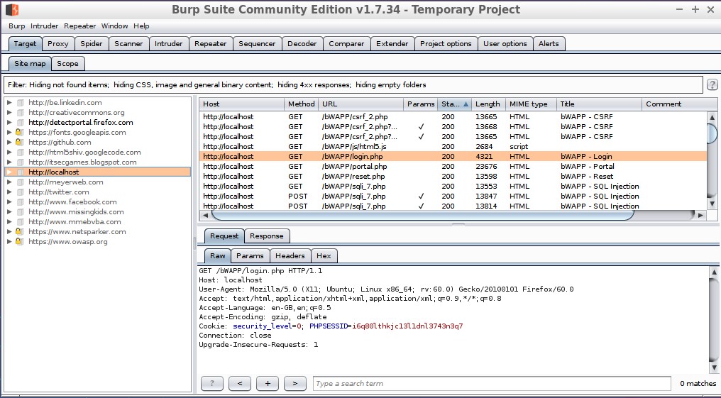 Burp Suite interface