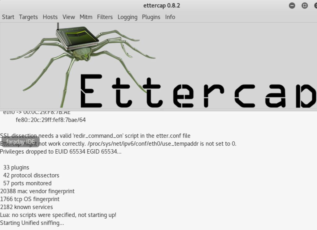 ettercap interface