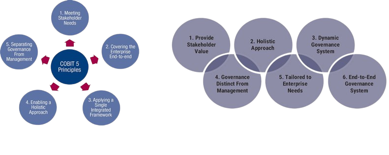 Differences between the core principles of the COBIT 2019 and COBIT 5