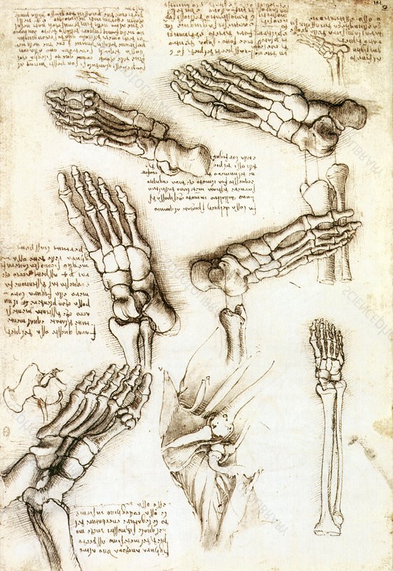 da Vinci applied Lean principles