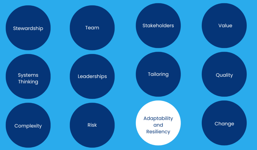 Adaptability and Resiliency - Principles of Project Management