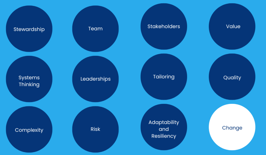 Change - Principles of Project Management