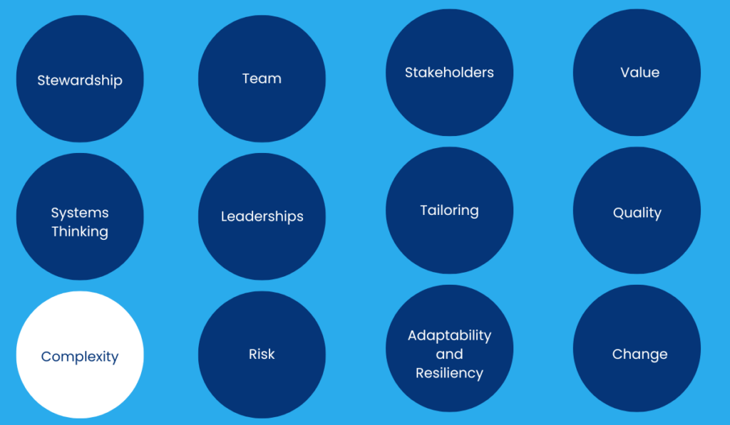 Complexity - Principles of Project Management