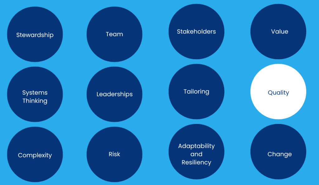 Quality - Principles of Project Management