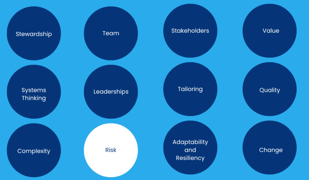 Risk - Principles of Project Management