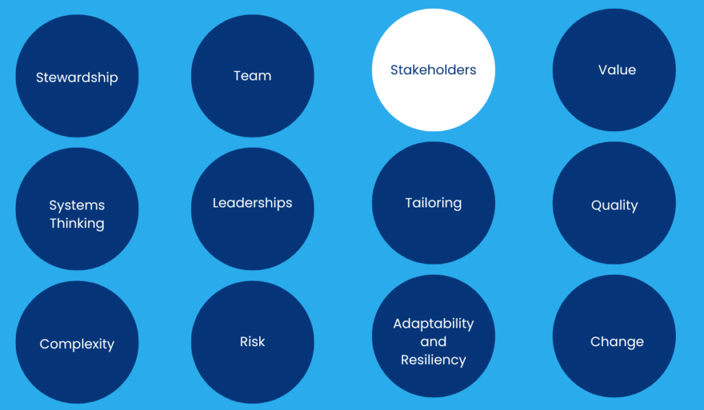 Stakeholders - Principles of Project Management
