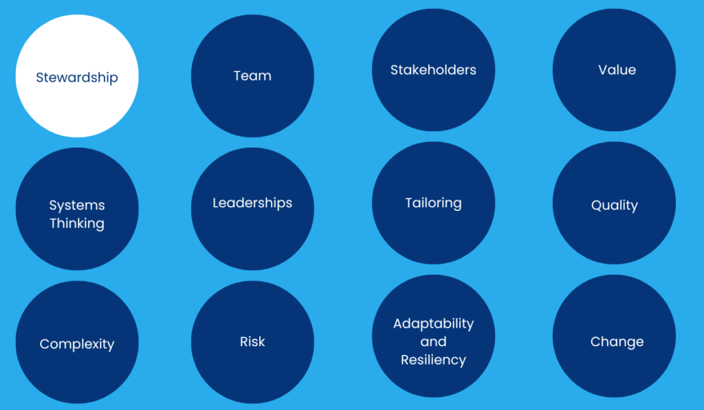Stewardship - Principles of Project Management
