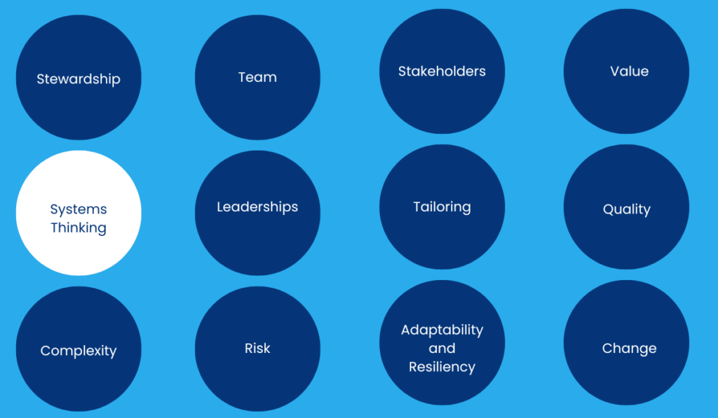 Systems Thinking - Principles of Project Management