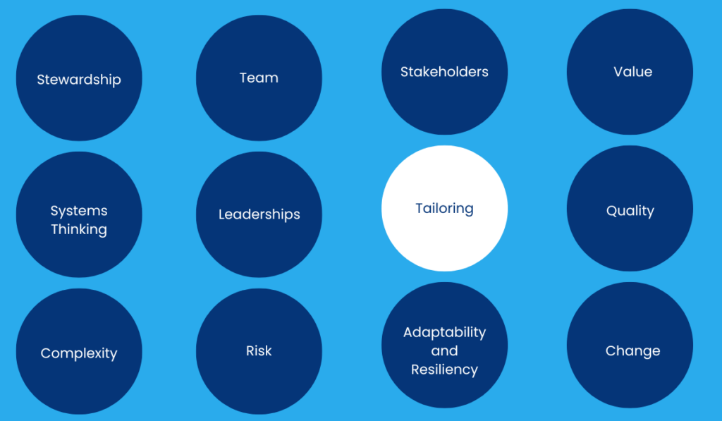 Tailoring - Principles of Project Management