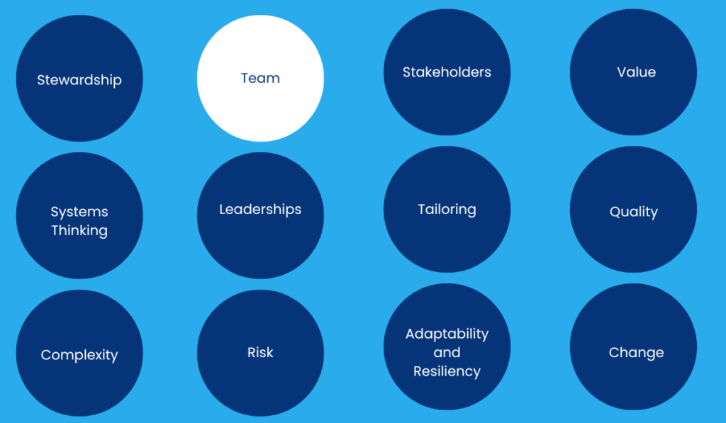 Team - Principles of Project Management
